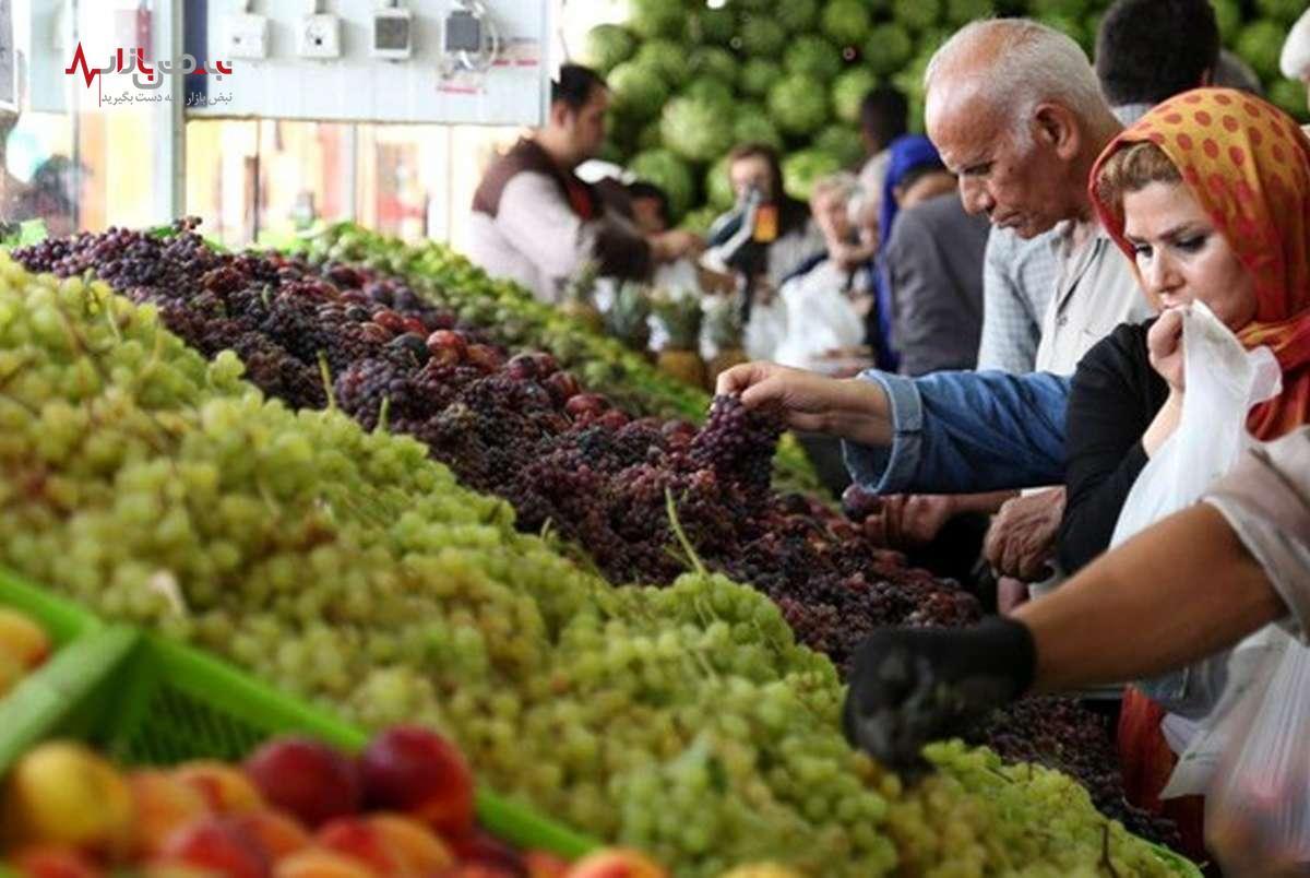 نوسانات قیمتی در بازار میوه و صیفی/کیوی ۲۰ درصد گران شد