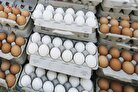 قیمت جدید تخم مرغ امروز ۱۹ اردیبهشت ۱۴۰۳