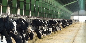 13971223000250_Test_PhotoN