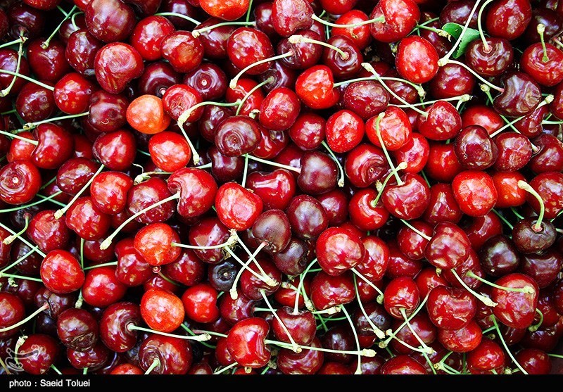 1397032313301265014416944