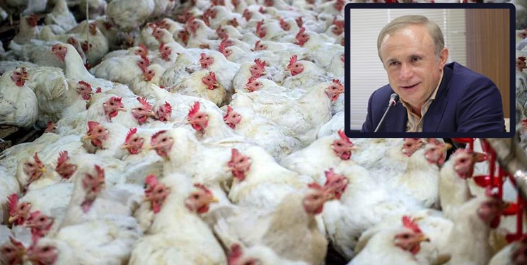 13990209000460_Test_PhotoN