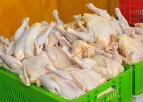 قیمت مرغ قیمت هر کیلو مرغ در بازار  هر کیلو تخم‌مرغ 