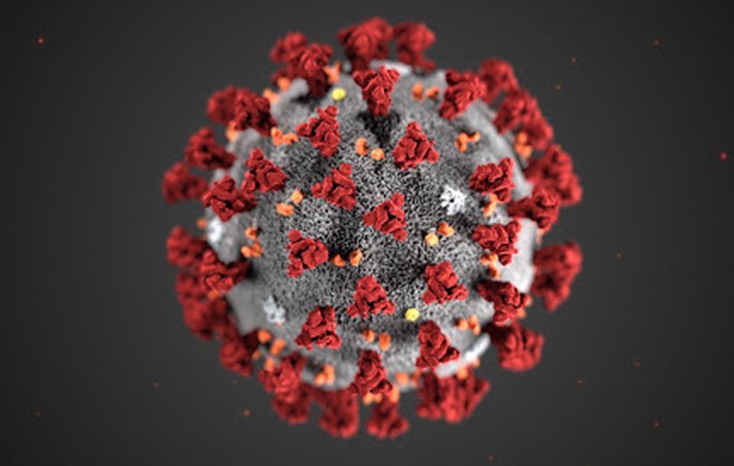 coronavirus-4