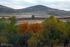 ارسباران+تبریز+جنگل+جنگل مه+خروس سیاه+خرس قهوه ای