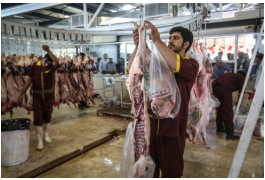 کمبودی در عرضه گوشت نداریم/ نرخ منطقی هر کیلو گوشت گوسفند ۹۳ هزار تومان است. منصور پوریان، رئیس شورای تامین کنندگان دام کشور با توجه به فراوانی گوشت منجمد