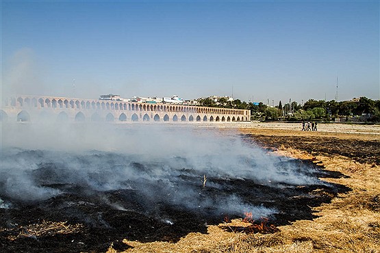 زاینده رود زنده زنده در شعله های آتش سوخت+عکس