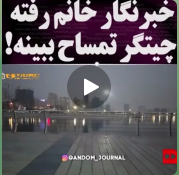 خبرنگار در دریاچه چیتگر / تمساح یک اردک به داخل آب کشیده  است !!