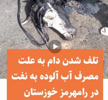روستائیان: علت مرگ‌ دام در روستای رامهرمز مصرف آب آلوده به نفت بود . درپی اعلام تلف شدن چندمین دام‌ اهالی روستای آبشدون رامهرمز استان خوزستان بر اثر مصرف آب آلوده به نفت،