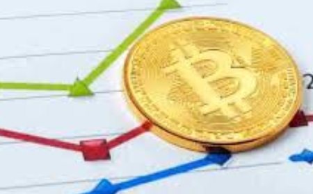 این فرد مشهور گفته بود بیت کوین دارای حباب است و احتمالا پس از رسیدن به کانال 10 هزار دلاری با ریزش سنگینی روبرو خواهد بود و ممکن است قیمت بیت کوین تا هزار دلار هم کاهش یابد. انتشار چنین خبری از این فرد مشهور باعث شگفتی در معامله گران بازار ارزهای دیجیتال گردید.