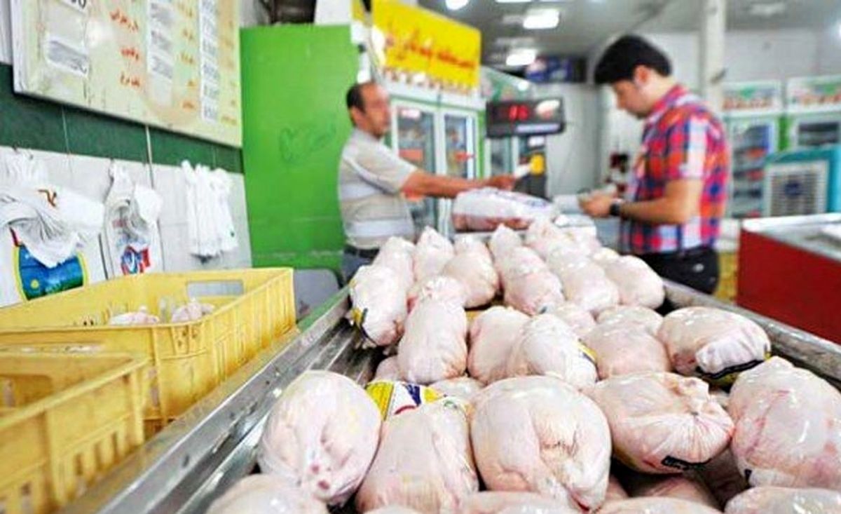 بازار مرغ به آرامش رسید؛ برنامه‌ریزی برای تامین مرغ در ماه رمضان
