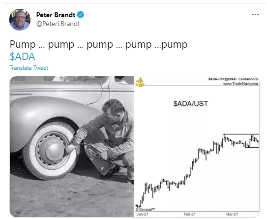 رشد ارز دیجیتال کاردانو با نماد ADA پس از توییت پیتر برانت تحلیلگر ارزهای دیجیتال