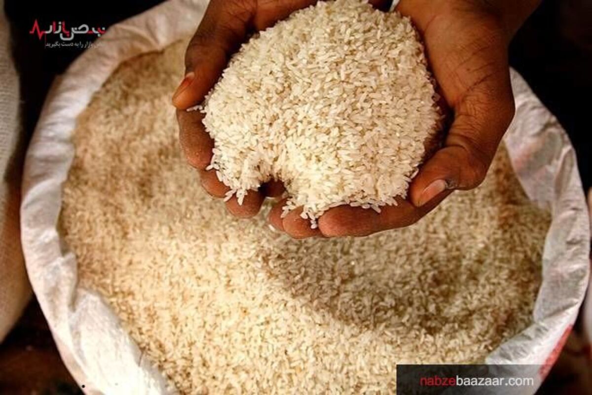 خبر مهم درباره افت قیمت برنج