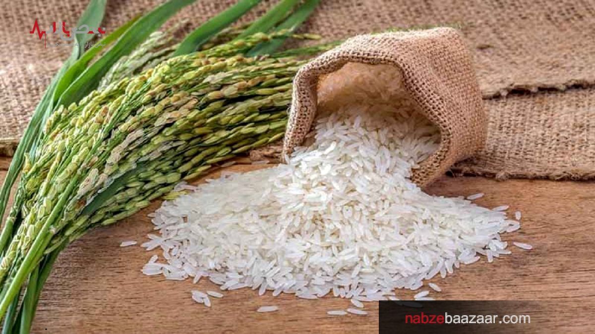 توزیع برنج با قیمت دولتی + جزئیات