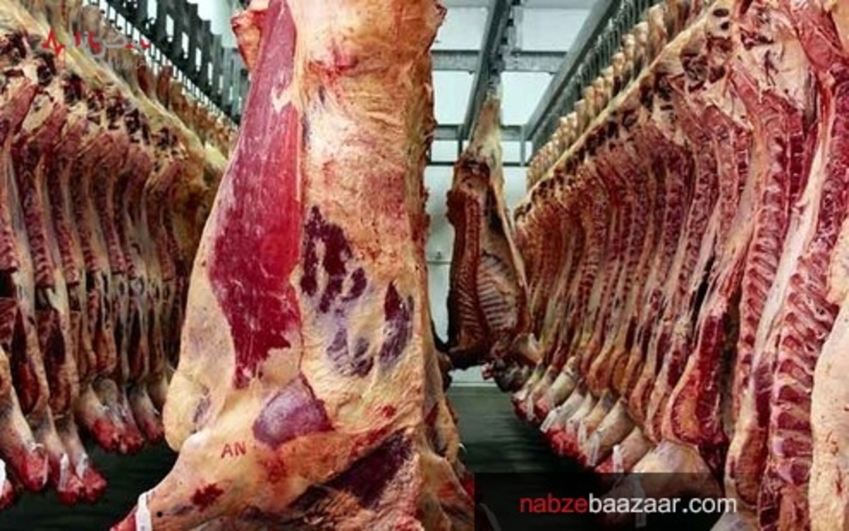 قیمت گوشت رکورد شکست