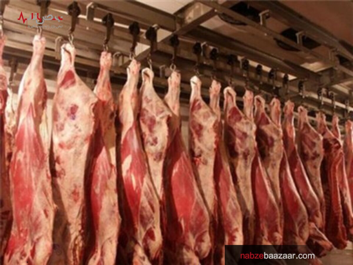 قیمت گوشت گوساله و گوسفندی توسط وزارت جهاد کشاورزی اعلام شد
