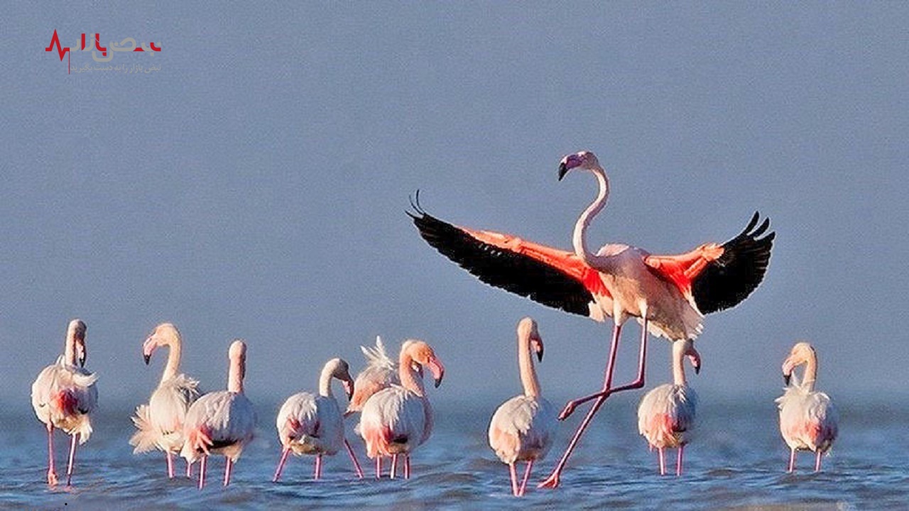 مسجد جامع ساری یکی از قدیمی ترین مکانهای عبادت در شمال ایران