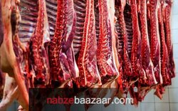 پیش‌بینی تنظیم بازار از کمبود گوشت قرمز در نیمه دوم سال