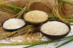 جدیدترین قیمت جهانی انواع برنج