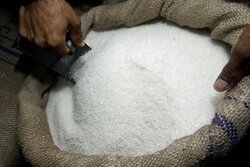 افزایش ۷۲ درصدی قیمت شکر با ابلاغ شرکت بازرگانی دولتی