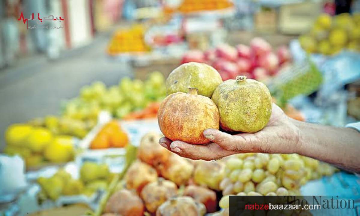 دانشمندان روسی برای تشخیص سم در میوه‌ها روشی جدید، ساده و ارزان کشف کردند