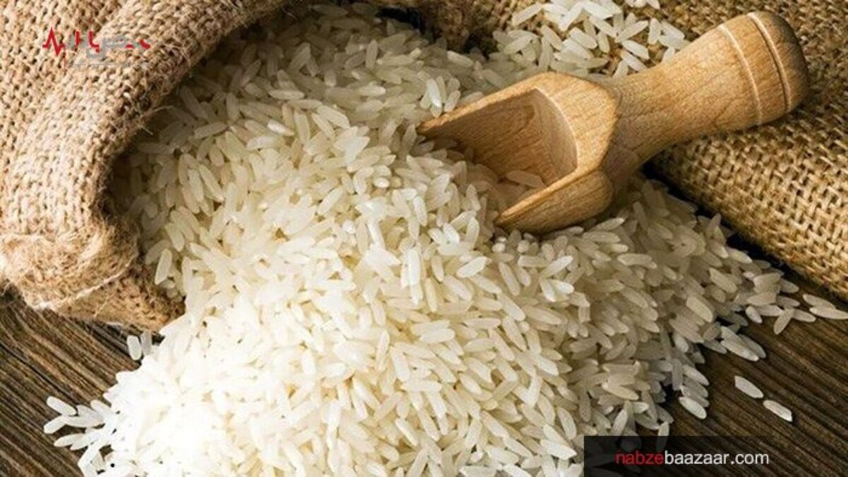 افزایش قیمت برنج از ۴۵ تا ۵۰ هزار تومان + قیمت انواع برنج