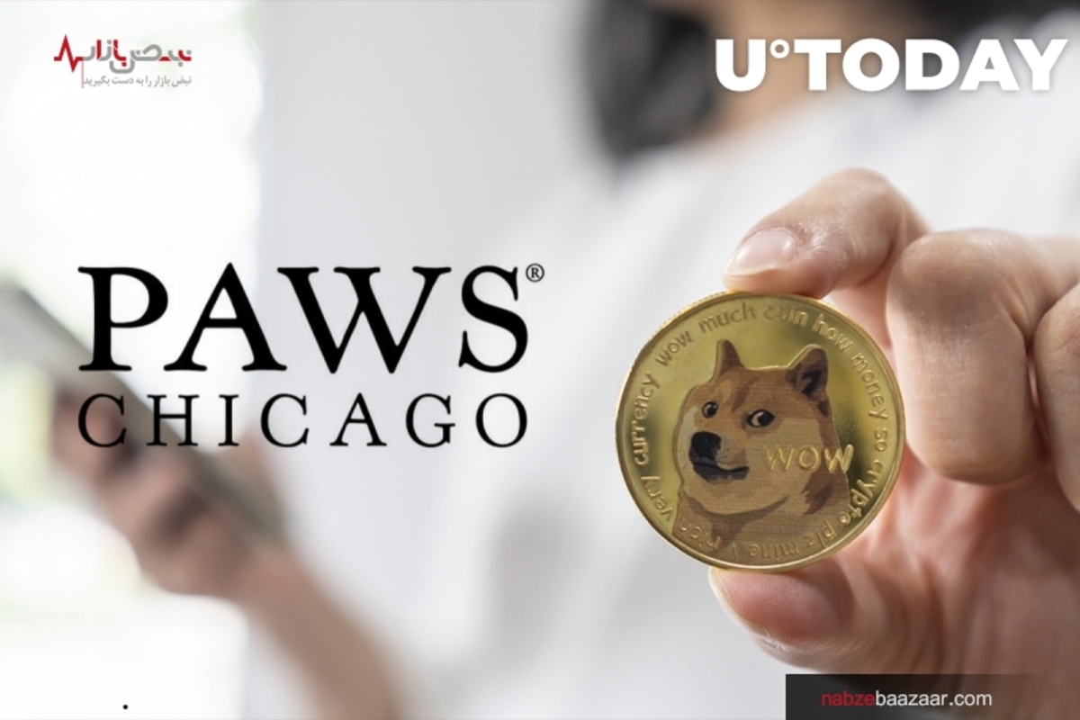رمزارز دوج کوین در سازمان PAWS شیکاگو پذیرفته می‌شود+ قیمت این رمزارز ۳ شهریور ۱۴۰۰