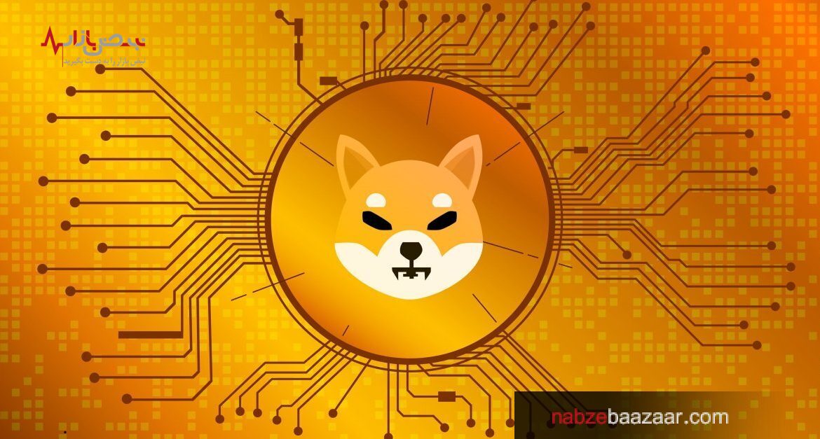 یک نهنگ مقادیر زیادی توکن شیبا اینو خریداری کرد و باعث رشد ۴۰ درصدی آن شد!