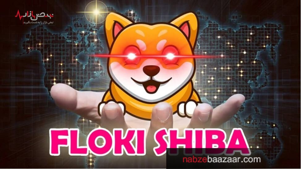 کدام رمز ارز برای سرمایه گذاری مناسب است: شیبا یا فلوکی