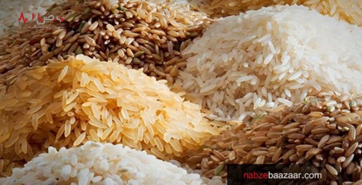 علت افزایش قیمت برنج و برنامه تنظیم بازار جهت کنترل قیمت