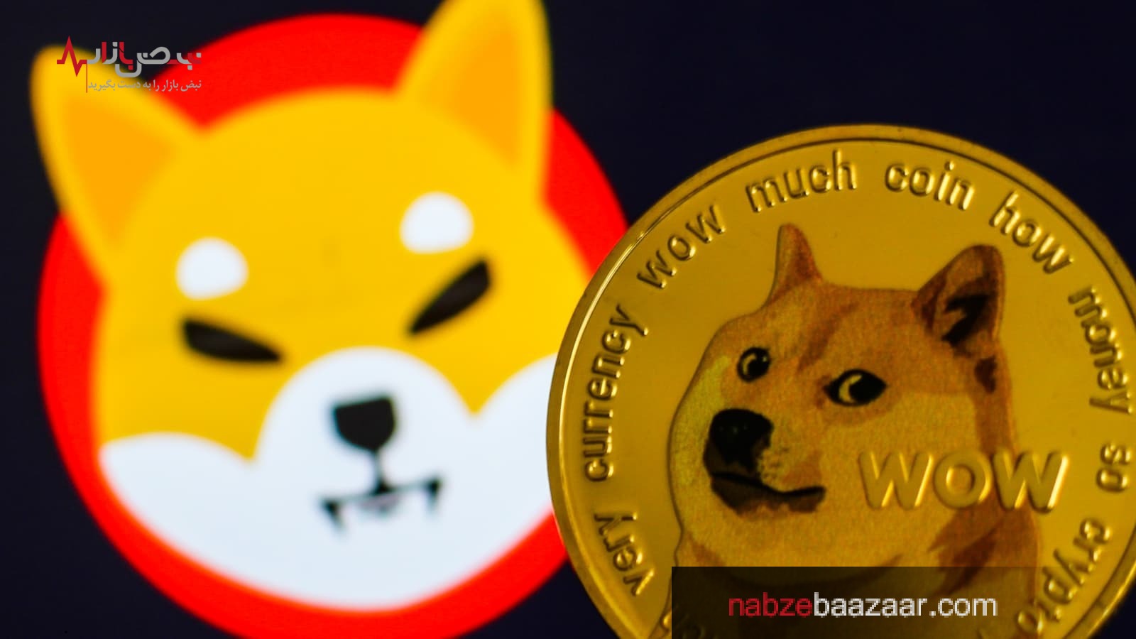 شیبا اینو جزو ۵ ارز دیجیتال با بیشترین حجم معاملات روزانه شد!