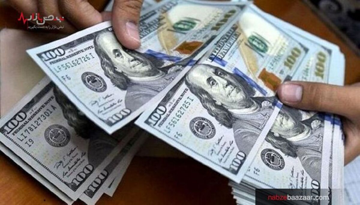 قیمت دلار امروز ۱۴ آذر ۱۴۰۰ / بررسی قیمت این ارز در بازه‌های زمانی مختلف