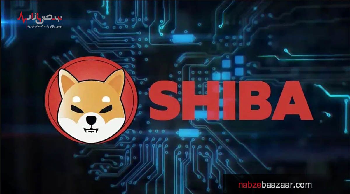رمز ارز شیبا اینو هر روز محبوب‌تر از دیروز!
