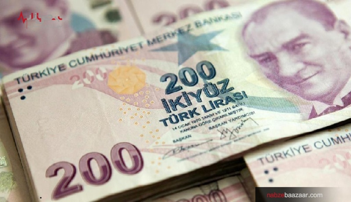 لیر ترکیه تاکنون ۴۵ درصد از ارزش خود را از دست داد
