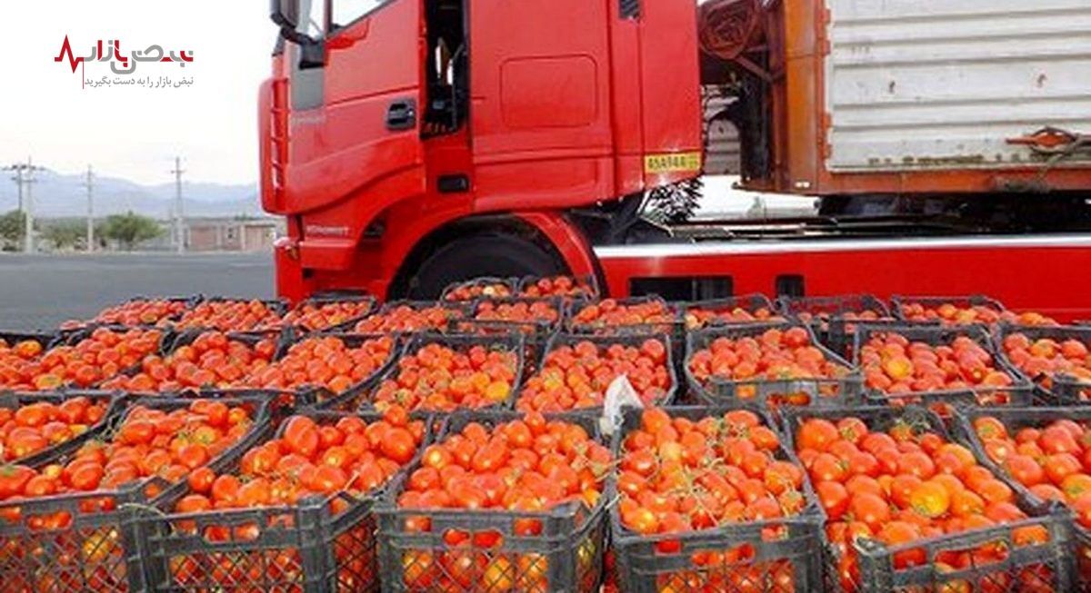 صادرات چهار محصول کشاورزی ممنوع شد