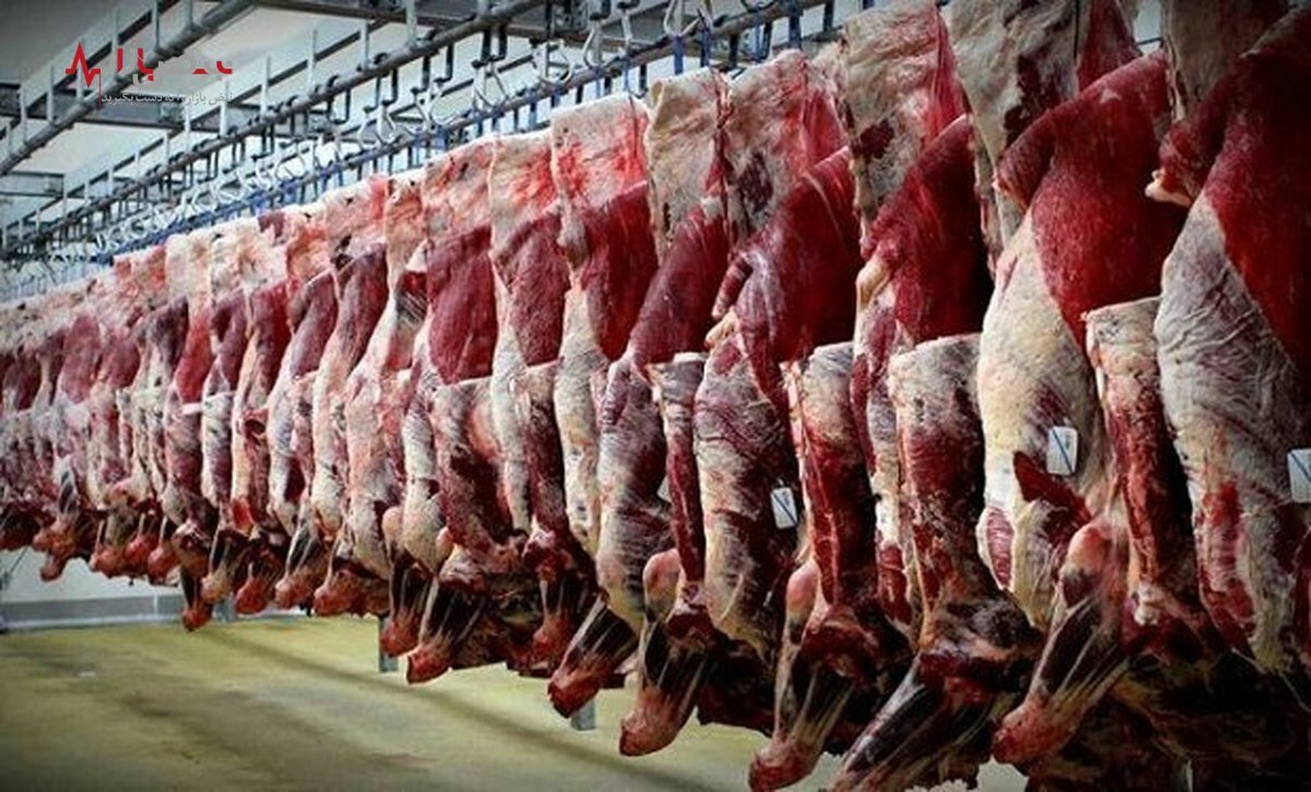 قیمت گوشت قرمز امروز دوشنبه ۱۲ دی ۱۴۰۱/جدول