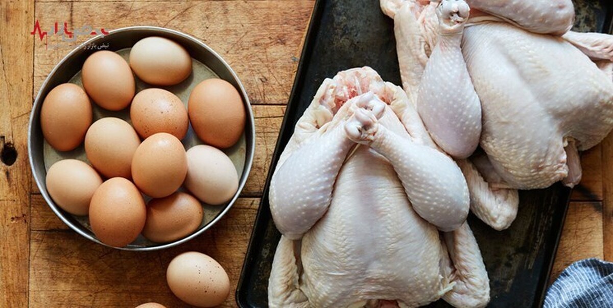 تغییر قیمت مرغ و تخم مرغ