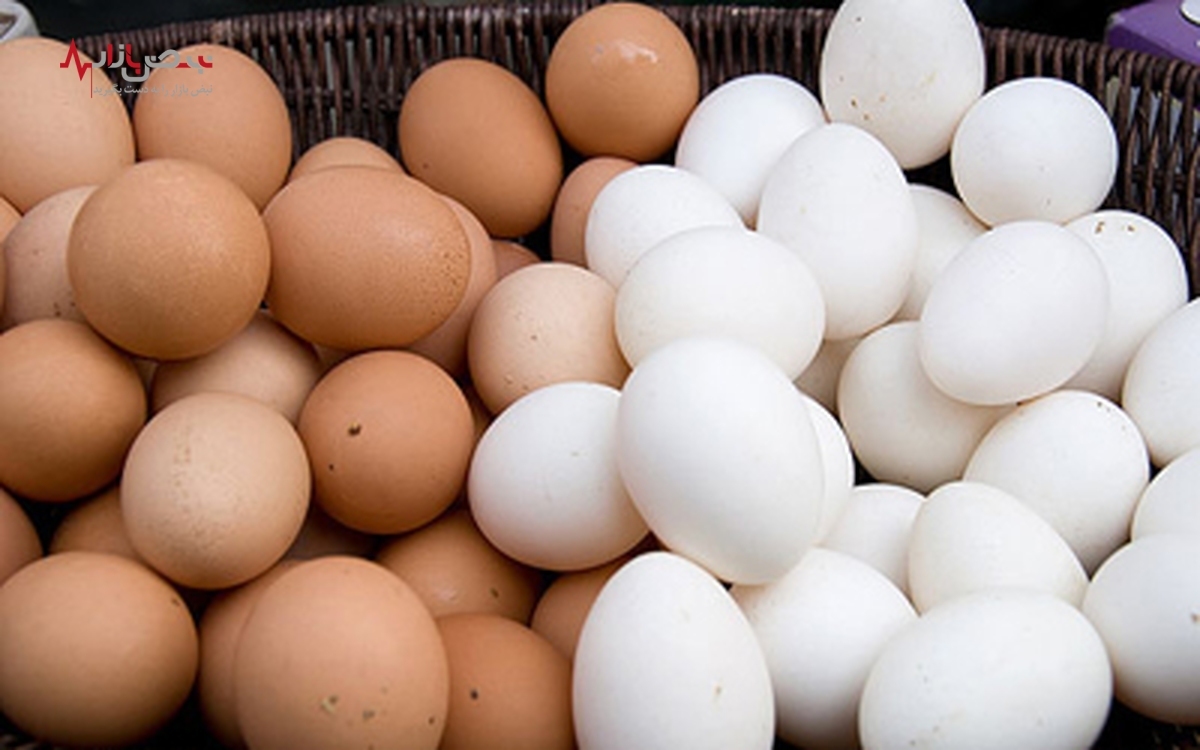 قیمت تخم مرغ فله‌ای ۴۵ هزار تومان اعلام شد