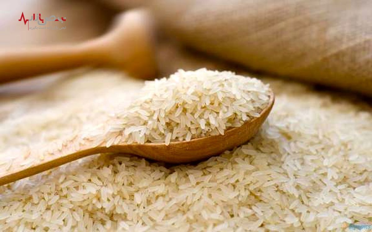سیر صعودی قیمت برنج در هفته‌های پایانی سال ۱۴۰۱/جزییات
