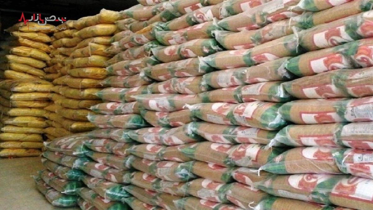 برنج هندی رکورد زد