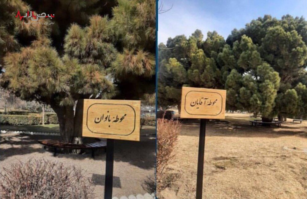 فضای سبز دانشگاه فردوسی زنانه و مردانه شد/ عکس