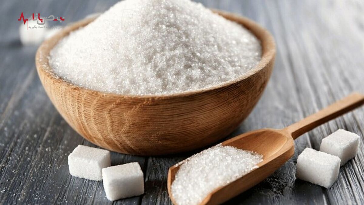 تولید شکر کشور نصف شد
