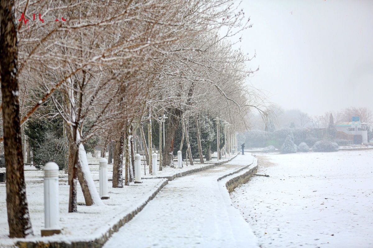 برف و باران در تهران تا سه شنبه ادامه دارد