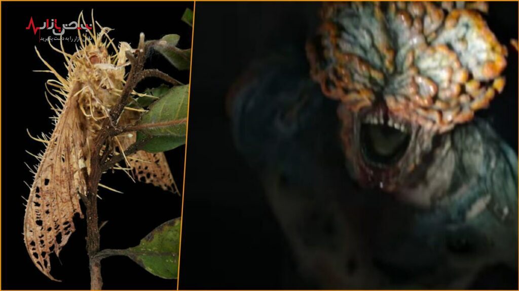 فقط یک جهش ژنتیکی تا نابودی بشر به دست این مو جود !/عکس