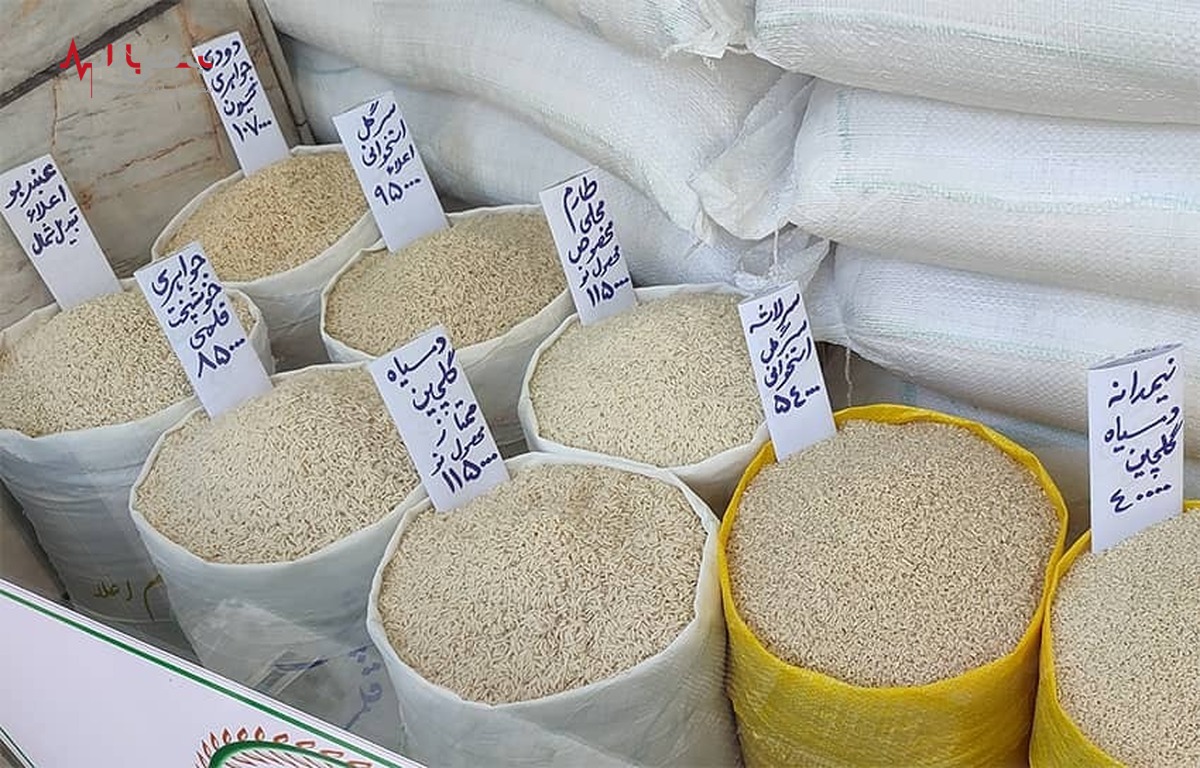 جدیدترین قیمت برنج ایرانی ۲۳ اسفند ۱۴۰۱