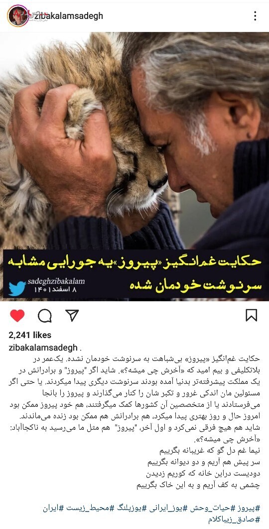 پیروز شب مهمی در پیش دارد برای زنده ماندن/عکس