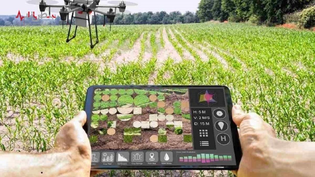 کاربرد تکنولوژی‌های نوین کشاورزی در توسعه صنعت غذا