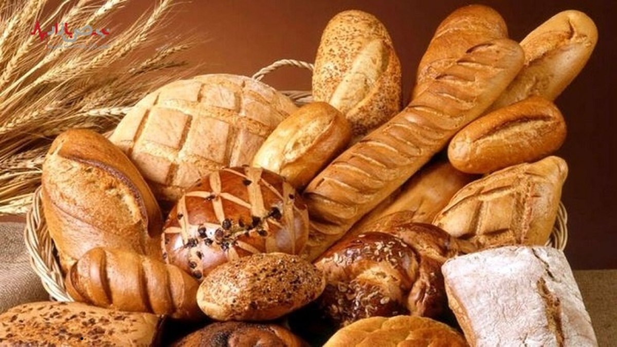 لزوم یکسان‌سازی در تخصیص یارانه به نان‌های سنتی و فانتزی