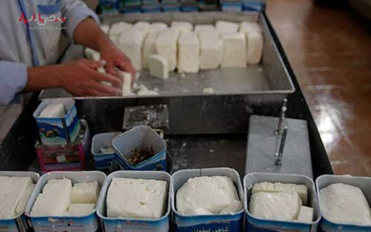 جهش قیمت پنیر در میادین و پرواز از سفر‌ه شهروندان