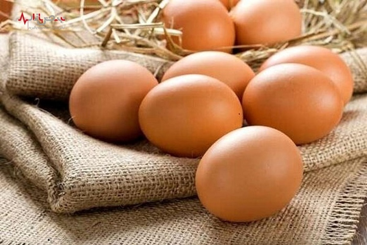 تخم‌مرغ هم گران می‌شود؟