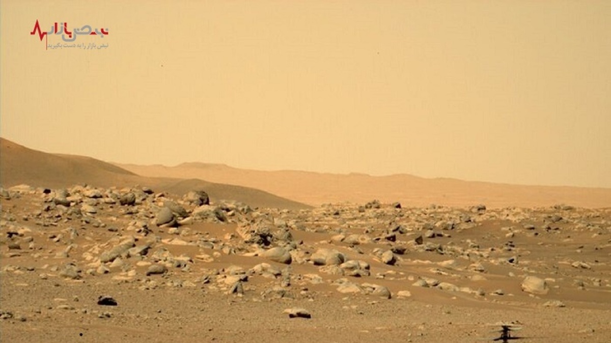 ناسا کل ماموریت مریخ را متوقف کرد